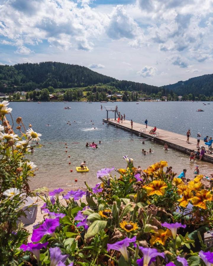 Nouveau Chalet M.Meta 12 Pers Sauna,Jacuzzi,Billard Xonrupt-Longemer Eksteriør bilde