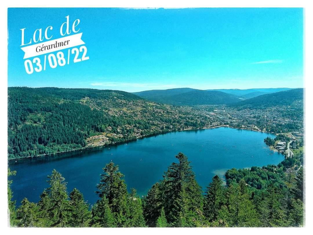 Nouveau Chalet M.Meta 12 Pers Sauna,Jacuzzi,Billard Xonrupt-Longemer Eksteriør bilde